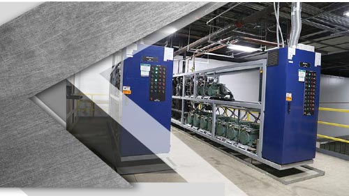 Best Foods Executive Summary