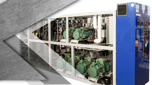 House of Spice Executive Summary